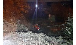 Eyüpsultan'da  ağaçlık alana uçan otomobilde yangın çıktı: 1'i polis, 2 ölü