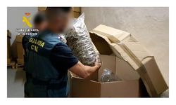 İspanya polisinden rekor uyuşturucu operasyonu