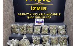 İzmir'de kamyonda 16 kilo skunk ele geçirildi: 2 tutuklama 