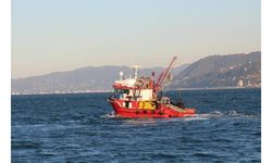 Karadeniz ısınıyor, deniz ekosisteminde oksijen azalıyor