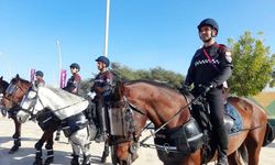 Katar'da görev yapan atlı polislerimize yoğun ilgi