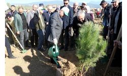 Milli Ağaçlandırma Günü’nde, İzmir'e 42 bin 200 fidan