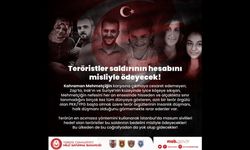 MSB: Sivilleri hedef alan teröristler, bedelini misliyle ödeyecek