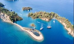 Muğla'da kıyı ve deniz ekosistemine yönelik çalıştay yapılacak