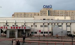 Ordu ve Samsun'da 7 kişi, mantardan zehirlendi