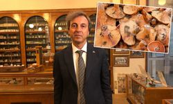Prof. Dr. Aydın: Doğadan toplanılan mantarlar kesinlikle yenmemeli