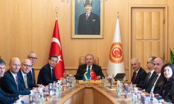 TBMM Başkanı Şentop: İsveç'in somut adımlar atmasını bekliyoruz