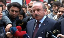TBMM Başkanı Şentop: Türkiye'yi istikrarsızlaştırmayı hedefleyenler karşılığını bulacak