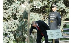Türk Devletleri Teşkilatı üyesi 7 ülkede fidan dikildi