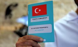 1 milyon 104 bin ev hayvanı kayıt altına alındı