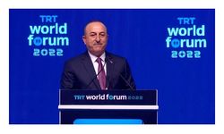 Bakan Çavuşoğlu: Arabuluculuğun ve çözümün değerini biliyoruz