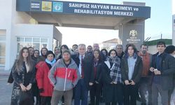 Hayvanseverlerden 'Konya'daki barınak ziyarete açılsın' talebi