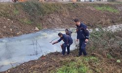 Kocaeli'de deredeki kirliliğe inceleme