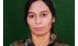 MİT, PKK/YPG'nin sözde eyalet sorumlusunu etkisiz hale getirdi