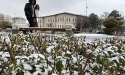 Sivas'ta kar yağışı etkili oldu