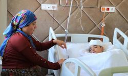 Sokak köpeğinin saldırdığı Nihatcan'ın saç derisi koptu
