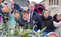 TBMM'de 'zeytinlik' teklifine tepki