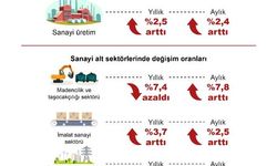 TÜİK: Sanayi üretimi yıllık yüzde 2,5 arttı