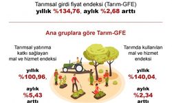TÜİK: Tarımsal girdi fiyat endeksi ekimde arttı