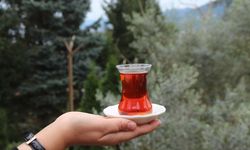 'Türk çay kültürü', UNESCO listesinde