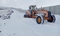 Van'ın Saray ilçesinde kar etkili oldu
