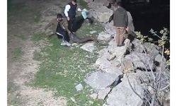 Yayın balıklarını elleriyle avladılar