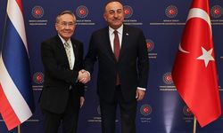 Çavuşoğlu: "(Pompeo'nun kitabı) Abartı var, çifte standart var