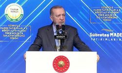 Cumhurbaşkanı Erdoğan: Karadeniz gazı mart sonu hanelere verilecek