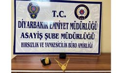 Diyarbakır'da villalardan hırsızlık yapan şebeke çökertildi