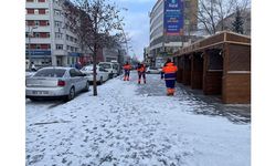 Doğu Anadolu'da kar ve soğuk hava etkili oldu