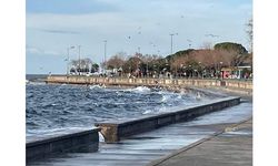 İstanbul'da lodos nedeniyle bazı vapur seferleri iptal edildi