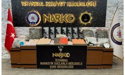 İstanbul'daki "Kökünü Kurutma Operasyonu"nda 176 kişi gözaltına alındı