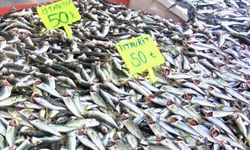 Karadeniz’de istavrit tezgahlara geri döndü