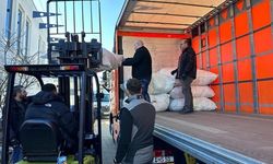 Avrupalı Türkler deprem felaketinin ardından seferber oldu
