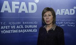 "Depremzedelere psikososyal destek iyi koordine edilmeli" önerisi