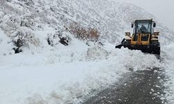 Güneydoğu'da 4 ildeki 670 yerleşim yerine ulaşım sağlanamıyor