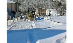 Karadeniz'deki 5 ilde 575 yerleşim yerine ulaşım sağlanamıyor