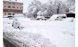 Van, Hakkari, Bitlis ve Muş'ta 476 yerleşim yerine ulaşım sağlanamıyor