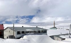 Doğu Anadolu'da kar yağışı etkili oluyor