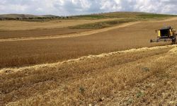 Tarım ve Orman Bakanlığı kuraklığa dayanıklı çeşitlerin ekimini yaygınlaştırıyor