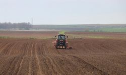 Trakya'da çiftçilerin ayçiçeği ekimi mesaisi başladı