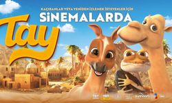 TRT Ortak Yapımı “Tay” Yeniden Vizyona Giriyor
