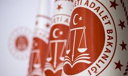 Adalet Bakanlığı, özel daire başkanlığıyla mağdur kadınlara destek oluyor