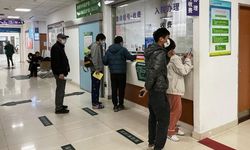 Çin, DSÖ'ye kuş gribinin A (H3N8) türünün bulaştığı bir kişinin öldüğünü bildirdi