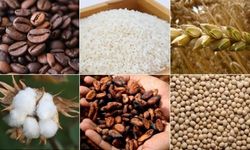 Emtia piyasası, hızlı yükselişlerin yaşandığı bir haftayı geride bıraktı