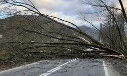 Meteorolojiden dört bölge için fırtına uyarısı