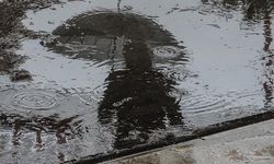 Meteorolojiden Edirne, Kırklareli ve Çanakkale için kuvvetli sağanak uyarısı