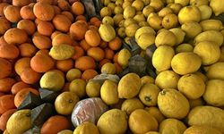 Narenciye ihracatında yılın ilk çeyreğini mandalina ve limon sırtladı