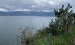 Sapanca Gölü'nde su seviyesi yağışlarla artmaya devam ediyor