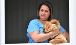 Depremden dakikalar önce köpeklerinin uyandırdığı aile, can dostlarını yanından ayırmıyor